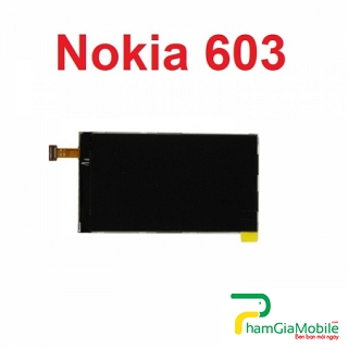 Màn hình LCD Nokia 603 Zin Hãng