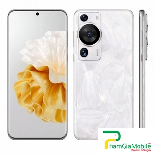 Thay Vỏ, Khung Sườn, Viền Benzen P60 Pro Chất Lương Giá Tốt