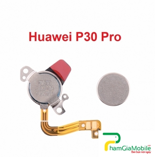 Loa Trong, Loa Tai Nghe Huawei P30 Pro Earpiece Speaker Flex Cable
