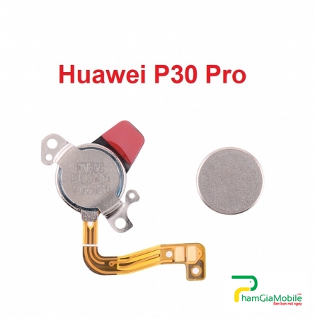 Loa Trong, Loa Tai Nghe Huawei P30 Pro Earpiece Speaker Flex Cable