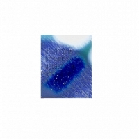 IC Wifi BCM4355 BCM4355XKUB 